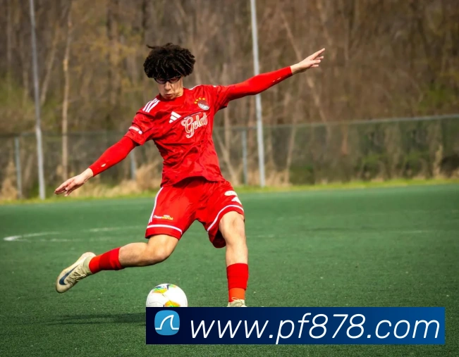 爱体育登陆地址发展历程