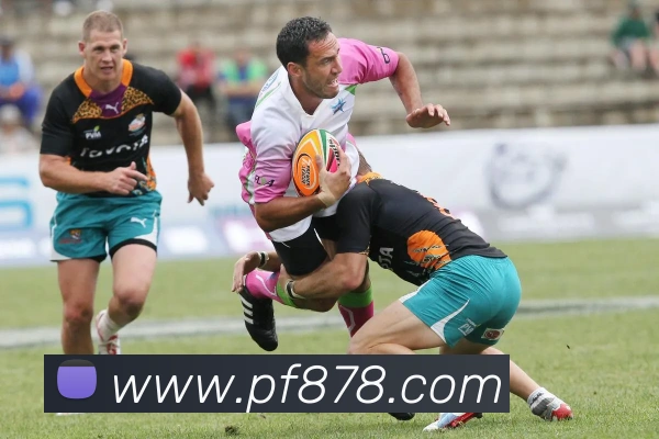 雄鹿击败太阳夺得2021年NBA总冠军字母哥50分创纪录